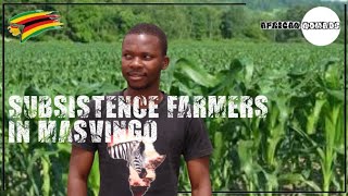 Subsistence Farming in Masvingo  What Subsistence Farmers Have Got To Say  masvingo zimbabwe [upl. by Unity]