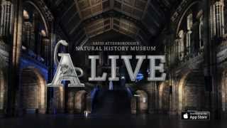 Natural History Museum Alive app trailer [upl. by Meredi]