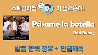 스페인어노래 버림 당하고도 유쾌한 갬성 Pásame la botella 가사해석  발음 [upl. by Templas]