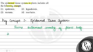 The epidermal tissue system in plants includes all the following except 1 epidermis 2 hyp [upl. by Suiramad]