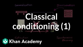 Classical conditioning Extinction spontaneous recovery generalization discrimination [upl. by Benil]