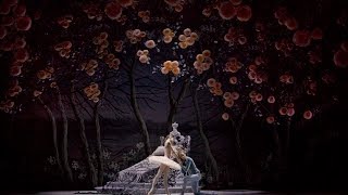 Спящая Красавица в Михайловском театре  The Sleeping Beauty at the Mikhailovsky Theatre [upl. by Sardse14]