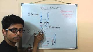 Chromosomal mutations  deletion mutation [upl. by Adianes]