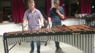 Kind van de duivel percussion cover [upl. by Nessy192]