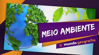 🏭️ Meio Ambiente 22 Atividade humana e impactos ambientais  Geografia  ENEM [upl. by Tosch]