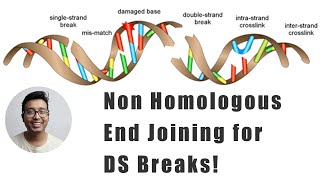 Double stranded break repair  Non homologous end joining explained [upl. by Nerrej]