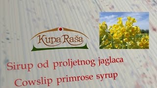 Sirup od proljetnog jaglaca Cowslip primrose syrup [upl. by Cleasta816]