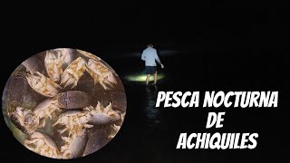 Así se capturan los ACHIQUILES durante la noche [upl. by Einnep]