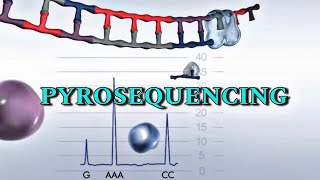 Pyrosequencing  Detail video in Hindi [upl. by Atteuqehs]