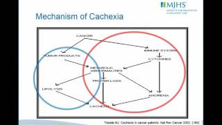 Management of Anorexia Cachexia [upl. by Clorinde]