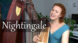 The Nightingale  VOICEHARP Deborah HensonConant [upl. by Podvin910]