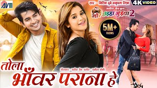 Mor Chhaiya Bhuiya 2  Cg Movie Song  Tola Bhanwar Parana He  Chhattisgarhi Gana Deepak Elsa AVM [upl. by Amocat607]