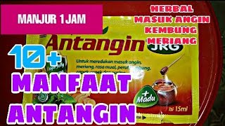 🔥Tak Disangka 10 Manfaat ANTANGIN Bagi Kesehatan  Herbal Masuk Angin Ampuh✅ [upl. by Barbee]