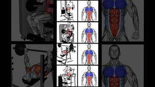 Build a Strong Chest amp Abs in Just 30 Seconds 🕒 [upl. by Ikiv]