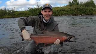 Kwethluk River Alaska 2021 Papa Bear Adventures Fly Fishing for Rainbows Salmon Grayling mp4 [upl. by Eerehc]