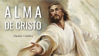 ALMA DE CRISTO ✝️ Canción con Letra ✝️ Nación Católica [upl. by Ib]