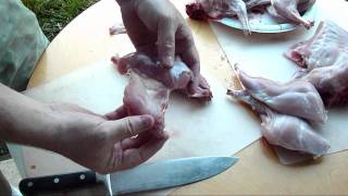 How to Quarter or Disjoint A Rabbit Butchering Rabbit [upl. by Phio953]