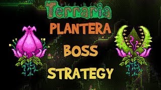 Terraria All Bosses In Order Expert Mode Guide amp Fights Easiest to Hardest How to Spawn Them [upl. by Ccasi]