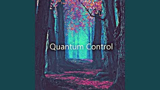 Quantum Control [upl. by Ardene206]