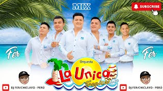 La Unica Tropical Mix Partido En Dos Si Esta Casa Hablara Te Burlaste De Mi Mas Dj Fer [upl. by Odlaumor]