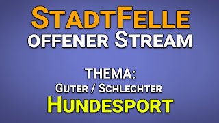 Guter  schlechter Hundesport  Unser Thema im Stadtfelle Stream [upl. by Carrick]