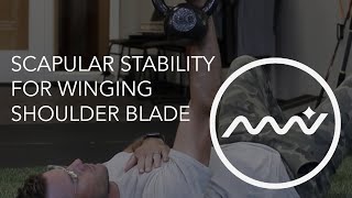 Scapular Stability  Fix Your Winging Shoulder Blade [upl. by Razal]