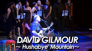 PINK FLOYD：DAVID GILMOUR 『Hushabye Mountain Acoustic Version 』2002 by miu JAPAN [upl. by Ecydnak930]