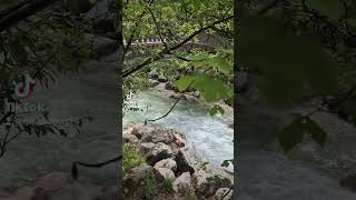 zauberwald bayern bavaria bava wasserfall weekend relax urlaub wandern wanderlust alps [upl. by Ophelie410]