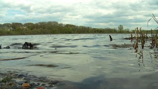 Curlyleaf Pondweed Treatment Begins in Plymouth’s Bass Lake [upl. by Osmo65]