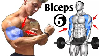 6 Effective Exercises For Bigger Biceps At Gym [upl. by Ashia973]