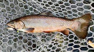 How to Catch MORE Trout Trout Fishing Tips [upl. by Luane]