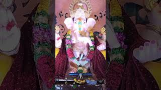 Ganesh utsav pune [upl. by Nilhsa]