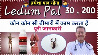 Ledum Pal 30  Ledum Pal 200  Ledum Pal Homoeopathic Medicine [upl. by Einnoc695]