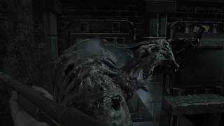 Morgue Puzzle Dissection Room Key Item RE7 [upl. by Ermina]