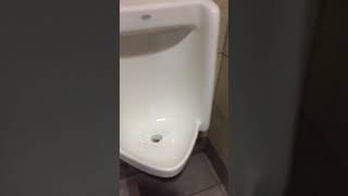 How to Unclog a urinal Step by Step Video  1 A [upl. by Ayt]