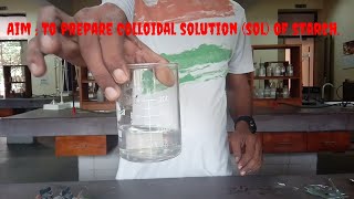 chemistry Experiment class 12 । lyophilic sol colloidal solution of starch [upl. by Gary]