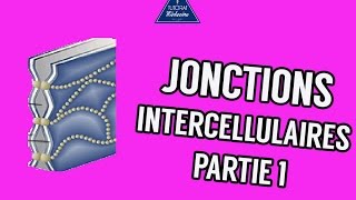 03  Les Jonctions intercellulaires Partie 1 [upl. by Mile888]