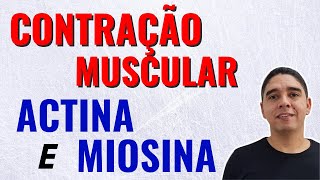 Actina e Miosina na Contração Muscular Músculo Esquelético 34 [upl. by Fasta906]