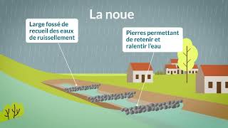 Comment fonctionnent les aménagements de maîtrise du ruissellement [upl. by Addiego645]