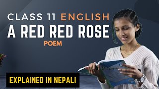 A Red Red Rose Summary in Nepali  Class 11 English Literature  NEB Exam Preparation [upl. by Egief689]