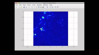 Vorticity MatLab Simulation [upl. by Rosenstein]