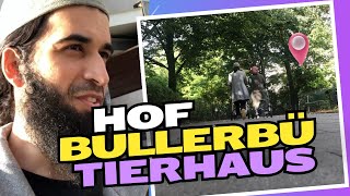 Hof Bullerbü Tierhaus [upl. by Ynahpit]