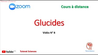 Vidéo N°8 partie quotGlucidesquot Exercice 2 amp 3 [upl. by Acirderf]