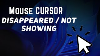 How to Fix Mouse Cursor Disappeared on Windows 10 amp 11  Fixed 100 [upl. by Eulaliah]