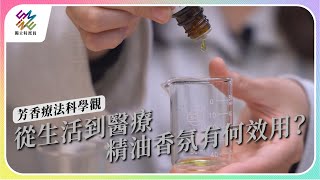 從生活到醫療，精油香氛有何效用？｜芳香療法科學觀｜公視 獨立特派員 第793集 20230322 [upl. by Eelnodnarb]