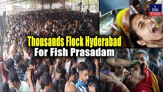 Thousands Flock Hyderabad For Fish Prasadam  IND Today [upl. by Adnelg215]