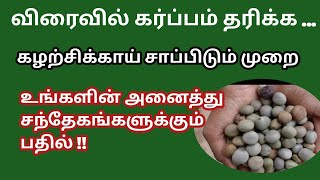 dragon fruits benefits and side effects in tamil [upl. by Feodora469]