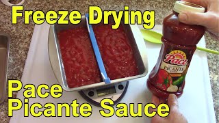 Freeze Drying Pace Picante Sauce [upl. by Alston]