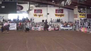 George Strait Roping [upl. by Kcirrem]