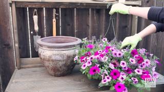 Howto Turn A Hanging Basket Into a Container Garden [upl. by Olia]